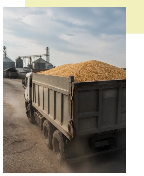 Перевозка сельхозпродукции навалом в Кронштадт по цене от 3130 р. | Агросервис-Крн